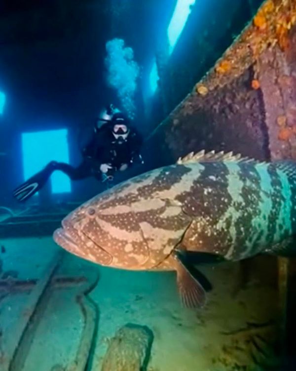 Aquatic Ventures